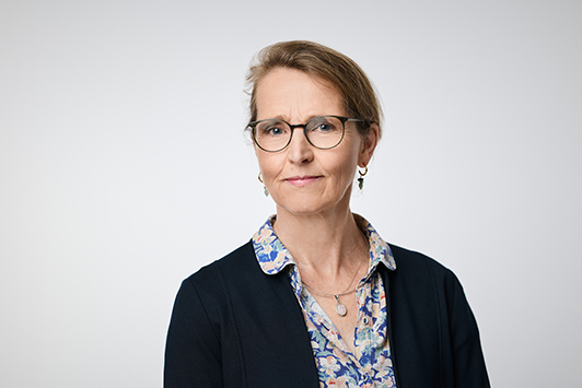 Leiter des Winnicott Instituts